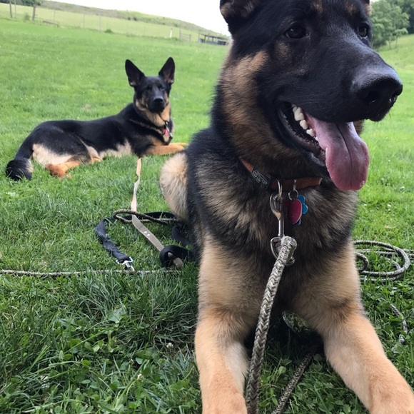 Profile Picture of Ryann Bartoletti (@ryannbartoletti) on Poshmark