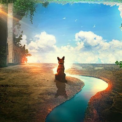 Profile Picture of Andrés Hernandez (@Andres_Link) on Twitter