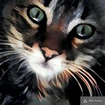 Profile Picture of Tabby-norwegian forest cats (@mrscat_mrskokos) on Instagram