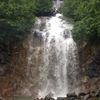 Profile Picture of Anusha Krishnan (@hitthebooks16) on Tiktok