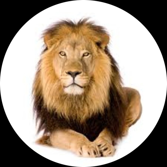 Profile Picture of Wayne Clark (@kingskid433) on Poshmark