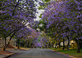 Profile Photo of Bryanston, Gautengon Wikipedia