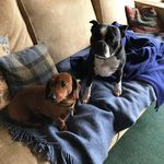 Profile Picture of Neil Cuthbert (@cuthbert.neil) on Instagram