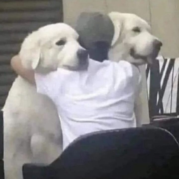 Profile Picture of Dylan Cragg (@@dylan.cragg) on Tiktok