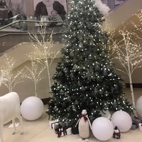 Profile Picture of Lea Diamond (@lea-diamond-4) on Quora