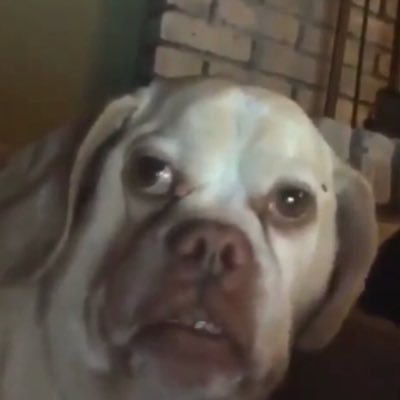 Profile Picture of Adam Kovach (@gaymerthatgames) on Twitter