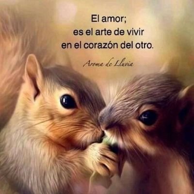 Profile Picture of Iris Hasan (@IrisHasan1) on Twitter