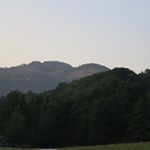 Amy Gabor - Instagram Profile Picture of Amy Gabor (@amygabor93) on Instagram