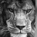 Profile Picture of Kevin Baginski (@kevin.baginski.14) on Facebook