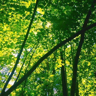 Timothy Ewald - Twitter Profile Picture of Timothy Ewald (@HiggansAlex) on Twitter