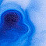 Profile Picture of Alec James Villos (@alecjamesart) on Flickr