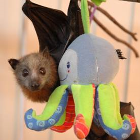 Profile Picture of Maree Treadwell Kerr (@MareeTreadwellK) on Twitter