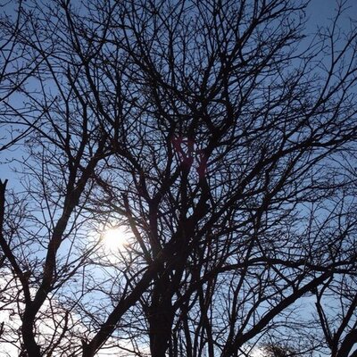 Profile Picture of Richard Conti (@RichardACJr) on Twitter