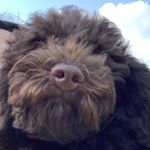 Profile Picture of Raymond Jr. Emill Mop Dawson (@raymond_jr_emill_mop_dawson) on Instagram