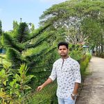 Profile Picture of Paulus Sandiguria (@sandiguriapaulus) on Instagram