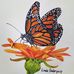Profile Picture of Linda Soderquist (@linda.soderquist) on Facebook