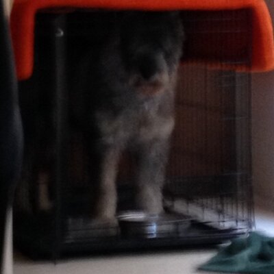 Profile Picture of Bryson Cook (@BrysonCook) on Twitter