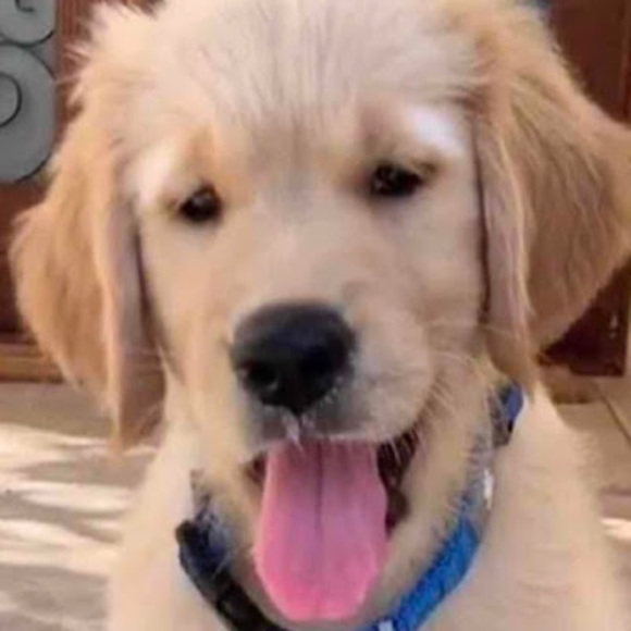 Profile Picture of Kadin Kleeger (@kskleeger11) on Poshmark