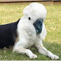 Profile Picture of Kyle Prettyman (@kyle-prettyman-7) on Quora