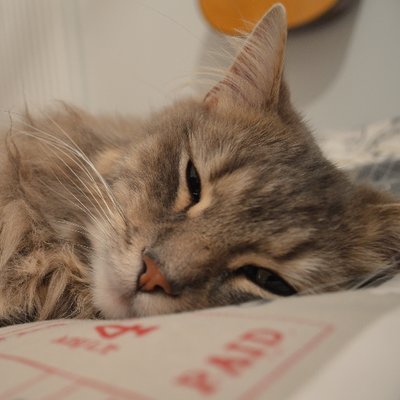 Profile Picture of William Hinshaw (@Hinshaw_Will) on Twitter