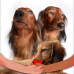 Profile Picture of Claudine Cox (@Claudine-Cox) on Facebook