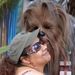 Profile Picture of Diane Brown (@chewbacca98) on Pinterest