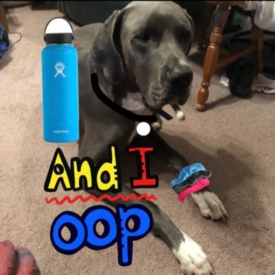 Profile Picture of Lucas Romine (@lucas_romine) on Twitter