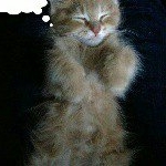 Profile Picture of _yooolanda_ (@yolandagrimaldo.127) on Instagram