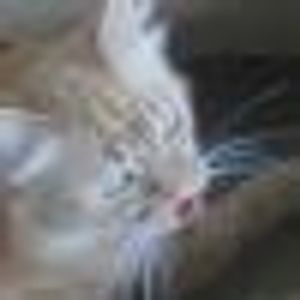 Profile Picture of Jill Sears (@342913097) on Myspace
