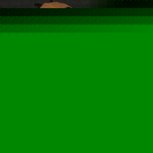 Profile Picture of Chris Brockington (@lil_woop700) on Myspace