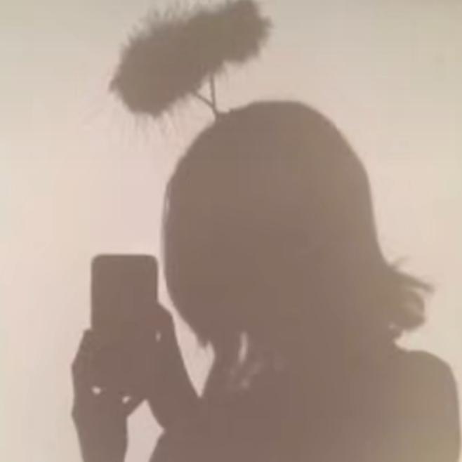 Dawn_bruce - Tiktok Profile Picture of Dawn_bruce (@dawn_bruce14) on Tiktok