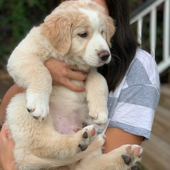 Profile Picture of Sandy Boyd (@pingalatore) on Poshmark