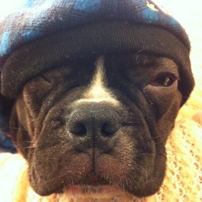 Profile Picture of Justin Roh (@fadeYieldCurve) on Twitter