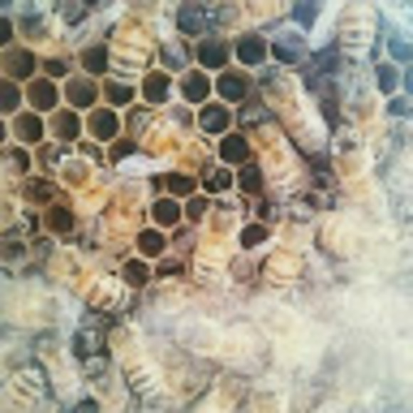 Autumn Wolf - Poshmark Profile Picture of Autumn Wolf (@autumnwolf765) on Poshmark