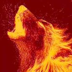 Profile Picture of Tristan Franklin (@flamewolf27) on Instagram