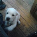 Profile Picture of Daniel Casson (@cassondaniel) on Instagram