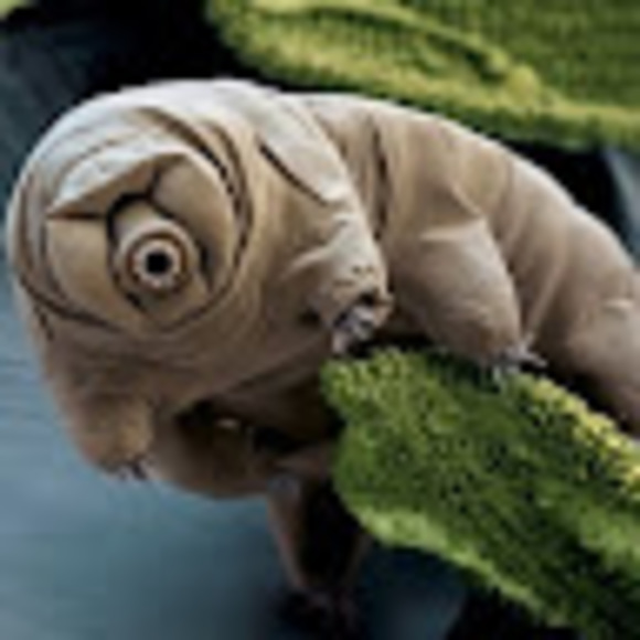 Profile Picture of Jedidiah Robinson (@jeddy2000) on Poshmark