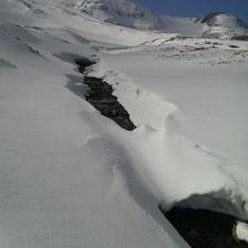 Stephen Gibb - Twitter Profile Picture of Stephen Gibb (@gibbstephen9) on Twitter