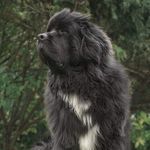 Profile Picture of Teddy (@teddy_bloomhaus) on Instagram