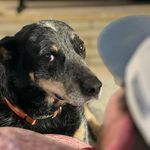 Profile Picture of Joshua Stanley (@joshuastanley7) on Instagram