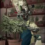 Profile Picture of Leonardo Pech (@mauri.pech.790) on Facebook