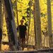 Profile Picture of Daniel Pyle (@pyleondan) on Pinterest