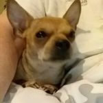 Profile Picture of Pauline Gibson (@pauline.gibson.9) on Instagram