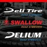 Profile Picture of Swallow Delitire Delium (@swallowdelitiredelium) on Instagram