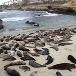 Profile Picture of deborahdavison (@deborahdavison9386) on Instagram