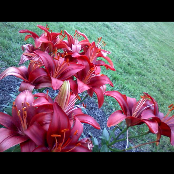 Profile Picture of Ericka Bierer (@ebierer) on Poshmark