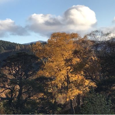 Profile Picture of Robert Mackay (@RobertMackay2) on Twitter