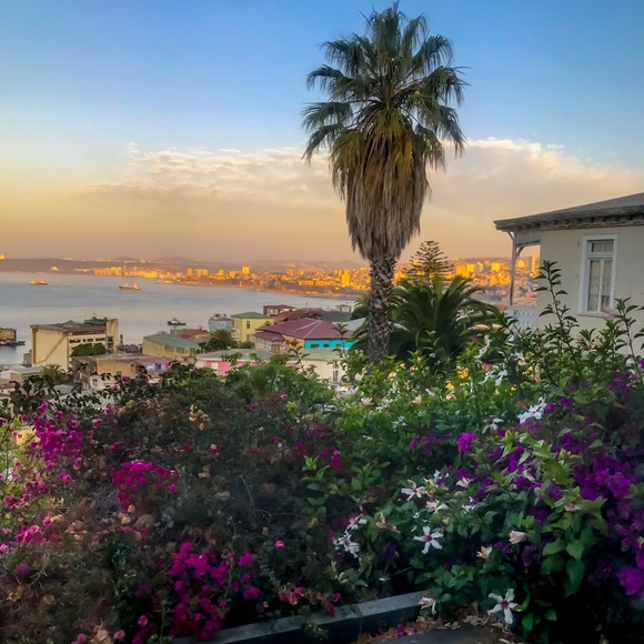 Profile Picture of M Wells (@mfranks987) on Poshmark