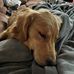 Profile Picture of Quorbin Riddle (@Quorbin-Riddle) on Facebook