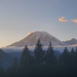 Profile Picture of Jason Koenig (@jason_koenig_wildlifepics) on Instagram